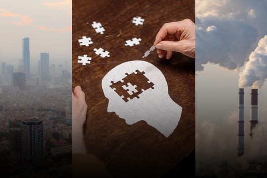 Nghiên cứu 29 triệu người: Ô nhiễm không khí làm tăng sa sút trí tuệ