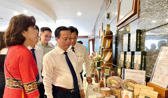 Nông sản Gia Lai rộng đường xuất khẩu chính ngạch sang Trung Quốc