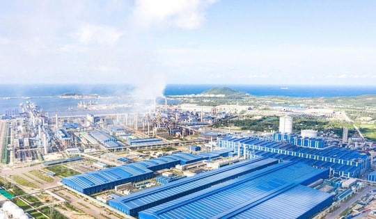 Quảng Ngãi: Xuất khẩu sang thị trường Hoa Kỳ gần 400 triệu USD trong 7 tháng