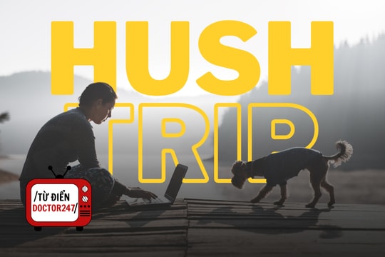 Hush Trips - Khi bạn không muốn sếp biết mình "trốn làm đi chơi"