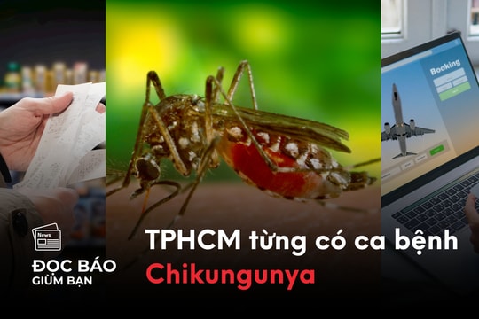 11/8/2025 | TPHCM từng có ca bệnh Chikungunya. Mực in trong hóa đơn giấy gây vô sinh?