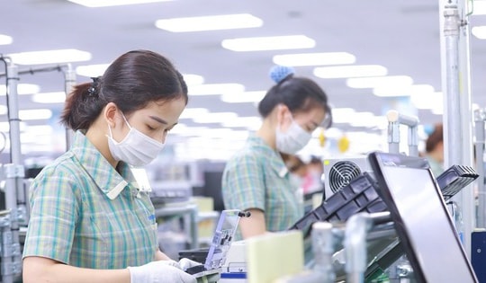 26.200 doanh nghiệp gia nhập thị trường mỗi tháng