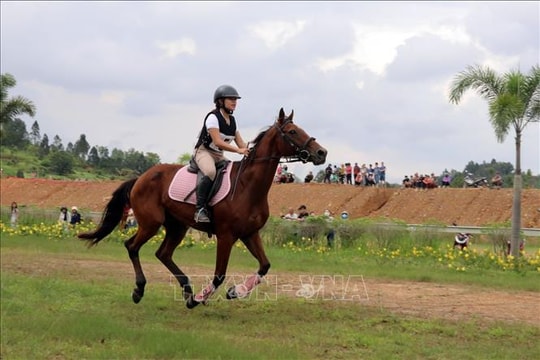 Giải cưỡi ngựa thể thao không chuyên lần đầu tiên ở Việt Nam