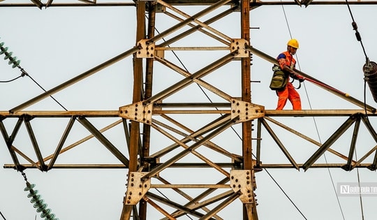 Thị trường điện tiến tới cạnh tranh: EVN chiếm 91%, còn lại thuộc 742 đơn vị khác