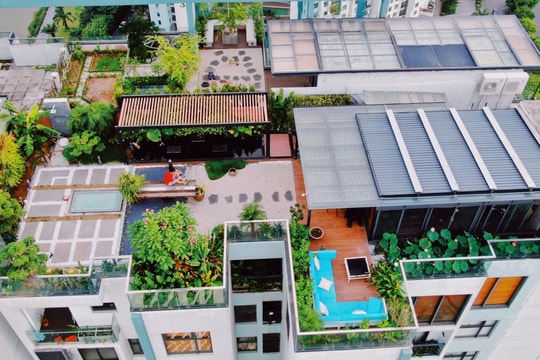 Chi 3 tỷ đồng làm vườn rau, ao cá trên tầng 30