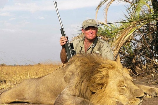 Tranh cãi vì chi hơn 130.000 USD đi săn sư tử