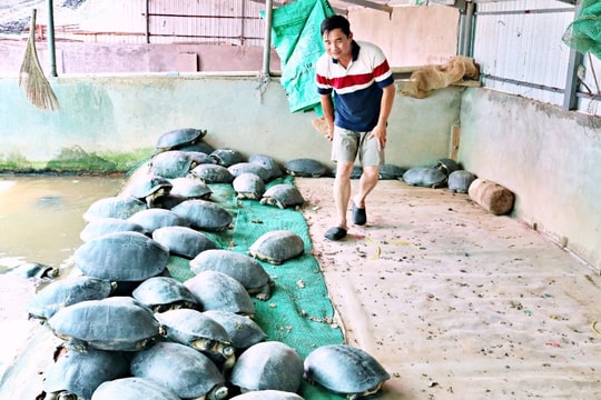 Thượng tá công an với nghề tay trái, thu lãi tiền tỷ mỗi năm