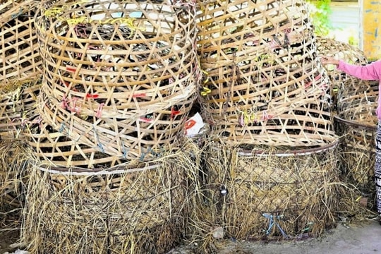 Cảnh lạ mắt tại chợ "bồng heo" nổi tiếng miền Trung