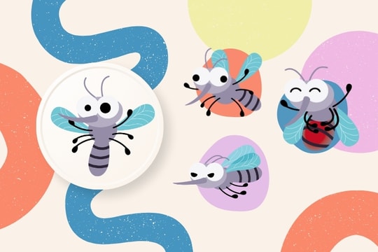 Muỗi: 9 bất ngờ lớn về loài nhỏ bé