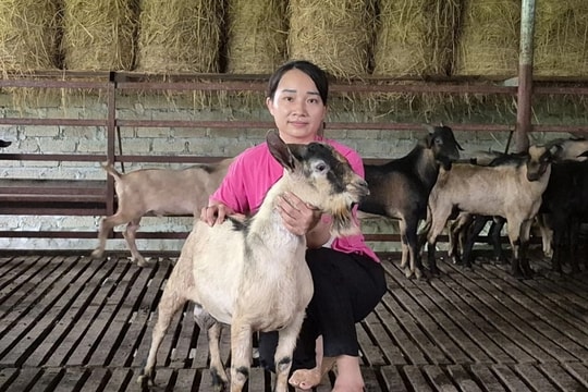 Cả thôn thu nhập cao nhờ nuôi “kho thuốc bổ biết đi”