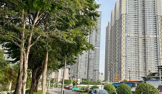 Sốc với đà tăng giá bất động sản Hà Nội và TP HCM