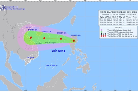 Chủ động ứng phó với áp thấp nhiệt đới phát triển thành bão số 5
