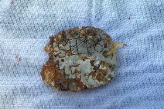 Phát hiện hài cốt liệt sỹ kèm mảnh nhôm đeo tay khắc ký hiệu