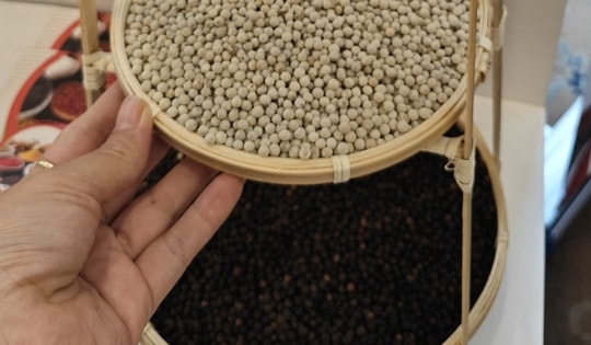 Giá tiêu Đắk Lắk và nhiều địa phương tăng mạnh trở lại