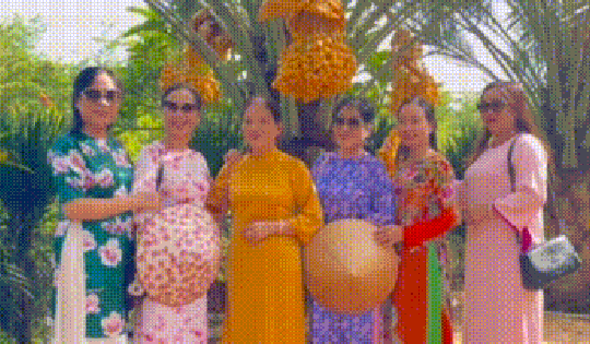 CLIP: Khách du lịch tham quan miễn phí vườn chà là trĩu quả ở miền Tây