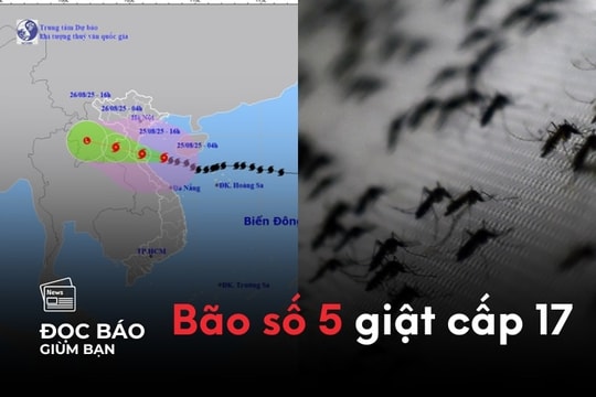25/8/2025 | Bão số 5, giật cấp 17. Việt Nam chưa ghi nhận ca mắc bệnh Chikungunya