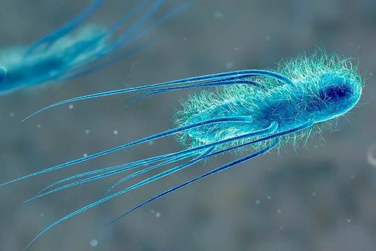 Ra mắt vi khuẩn nhân tạo mới “hoàn hảo” hơn cả tự nhiên