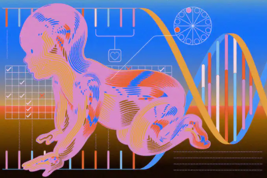 Xu hướng sàng lọc phôi "em bé thiên tài" ở Thung lũng Silicon