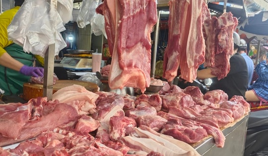 Giá heo hơi hôm nay 28-8: Miền Bắc tăng nhẹ