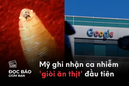 29/8/2025 | Áp thấp nhiệt đới có khả năng mạnh lên thành bão. Mỹ ghi nhận ca nhiễm 'giòi ăn thịt' đầu tiên