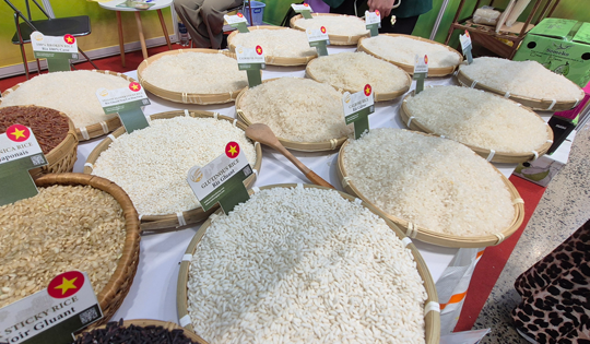 Lại lo đầu ra cho gạo