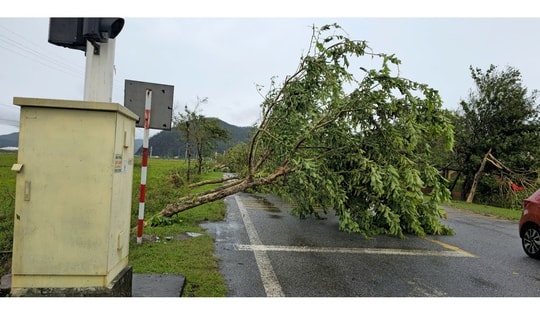 Hà Tĩnh: Bão số 5 gây thiệt hại khoảng 2.900 tỉ đồng