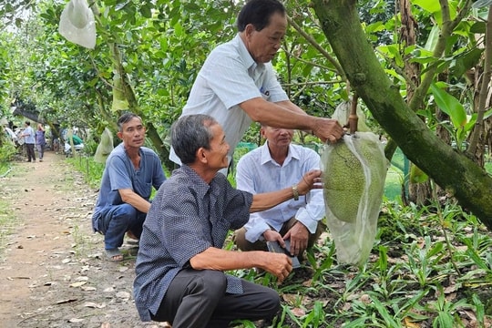 12,35 triệu tỷ đồng xây dựng nông thôn mới và giảm nghèo bền vững giai đoạn 2026-2035