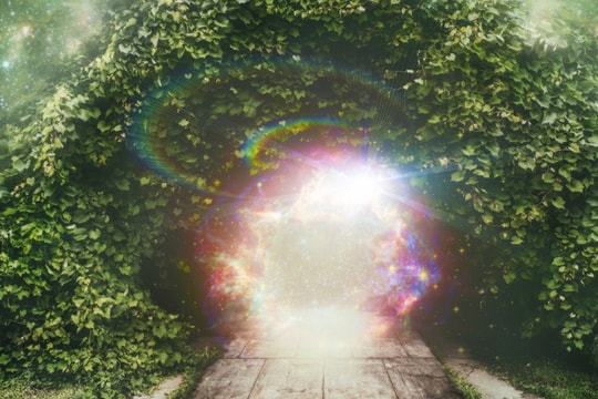 Hành trang bước vào năm thế giới số 1