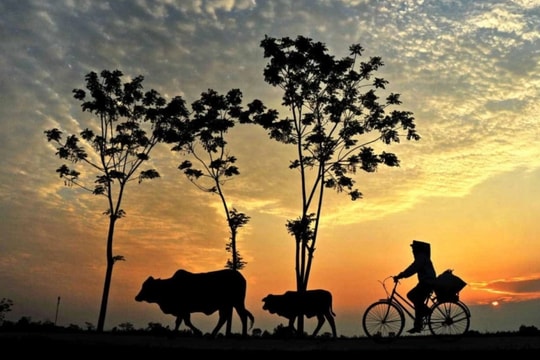 Nhạc hiệu quen thuộc này gợi bạn nhớ tới chương trình nào của VOV?