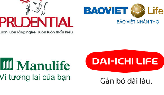 Công ty bảo hiểm nhân thọ nào đang đổ nhiều tiền nhất vào chứng khoán?