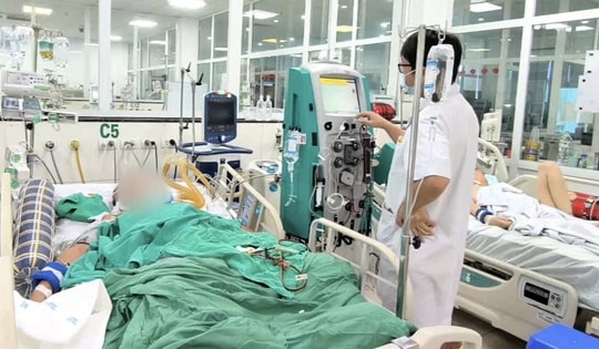 Bị gai đâm, người đàn ông sốc nhiễm trùng, nguy kịch tính mạng