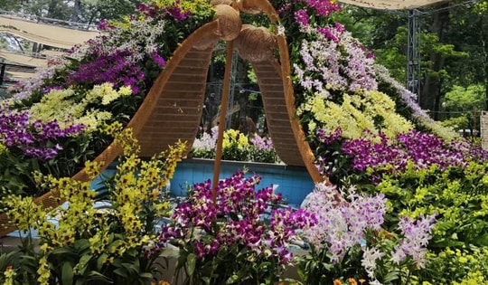 Ngành hoa Đà Lạt "sốc" vì bão hủy đơn hàng trước ngày khai giảng