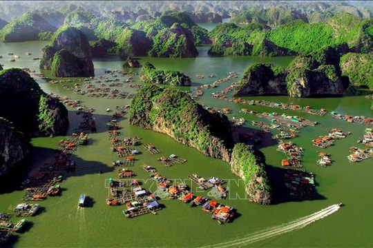 Bảo tồn đa dạng sinh học ở Vườn Quốc gia Cát Bà