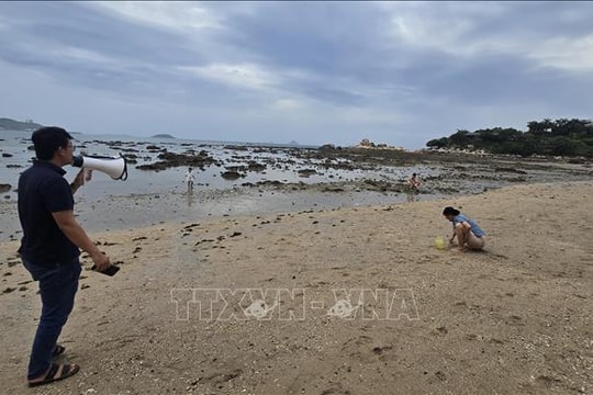 Khẩn trương xử lý ô nhiễm nước thải, bảo vệ môi trường vịnh Nha Trang