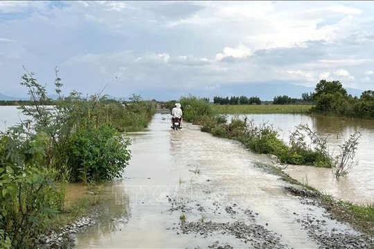 Dự báo Trung Bộ và Nam Bộ cục bộ có nơi mưa trên 80mm