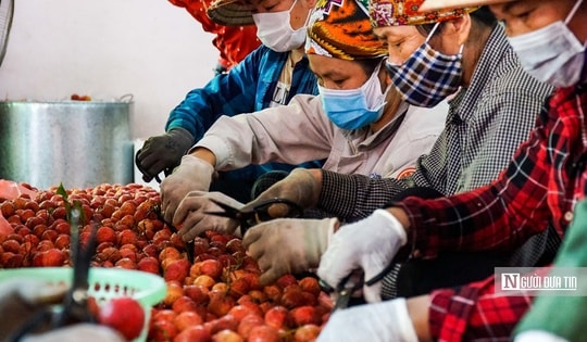 Bộ Tài chính: Giảm trừ gia cảnh không phân biệt thu nhập, nơi sống