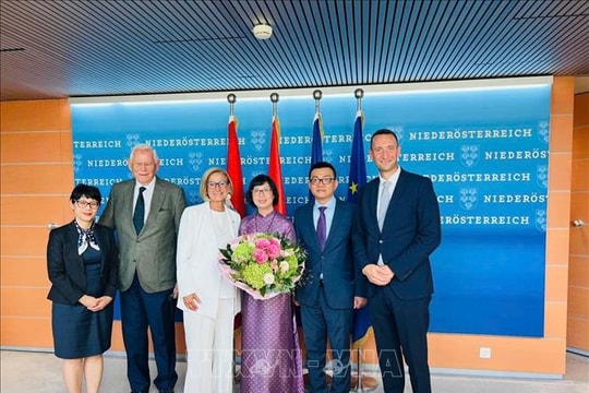 Việt Nam – Áo thúc đẩy đối tác tin cậy, mở rộng hợp tác giữa các địa phương