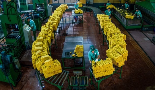 VRG đáp ứng EUDR, tiên phong chứng nhận cao su phát thải thấp