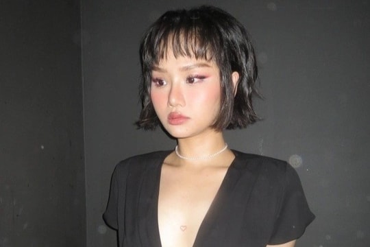 Miu Lê, Nam Vlog gây bàn tán