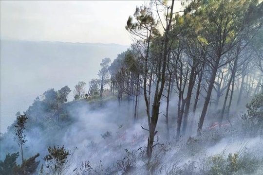 Khống chế vụ cháy rừng trên núi Rồng, tỉnh Nghệ An