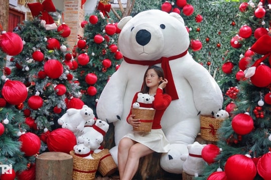 Quán cà phê ở TPHCM trang trí Giáng sinh sớm 4 tháng, hút giới trẻ check-in