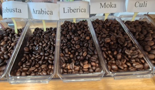 Giá cà phê hôm nay 7-9: Tuần buồn của người giữ cà phê