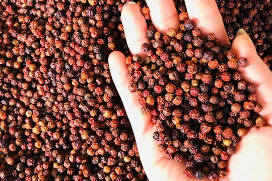 Xuất khẩu hồ tiêu vượt 1 tỷ USD