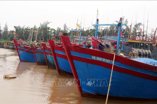 Ninh Bình xử lý nghiêm đối với tàu cá '3 không'