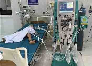 Ba trẻ bị ong vò vẽ đốt, một trường hợp tử vong