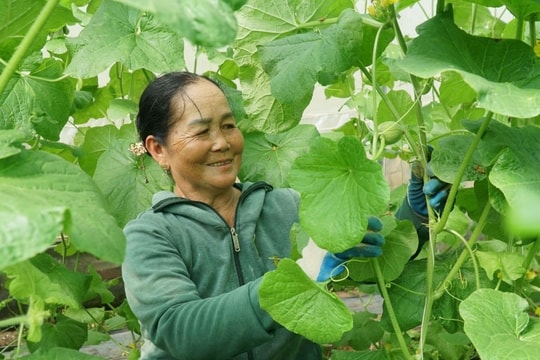 Tây Ninh đặt mục tiêu không còn hộ nghèo vào năm 2030