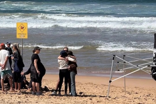 Người đàn ông bị cá mập dài gần 4m cắn chết khi lướt ván