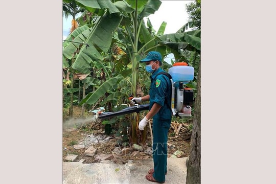 Đà Nẵng: Nhiều xã, phường qua 21 ngày không phát sinh dịch tả lợn châu Phi