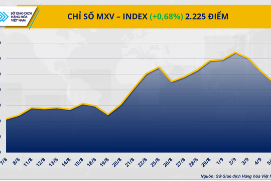 Chỉ số MXV-Index quay đầu phục hồi sau ba phiên suy yếu liên tiếp