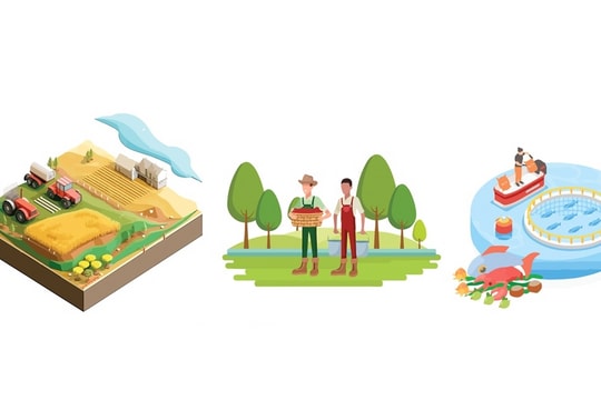 Siết chặt quản lý chất lượng nông lâm thủy sản sang EU